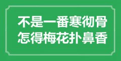 “不是一番寒徹骨，怎得梅花撲鼻香”是什么意思_出處是哪里