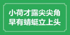 “小荷才露尖尖角，早有蜻蜓立上頭”是