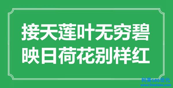 ““接天蓮葉無量碧，映日荷花別樣紅”是什么意思_出處是哪里