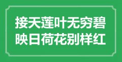 “接天蓮葉無窮碧，映日荷花別樣紅”是